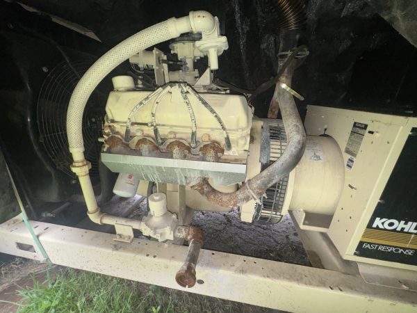 s-l1600 (3)